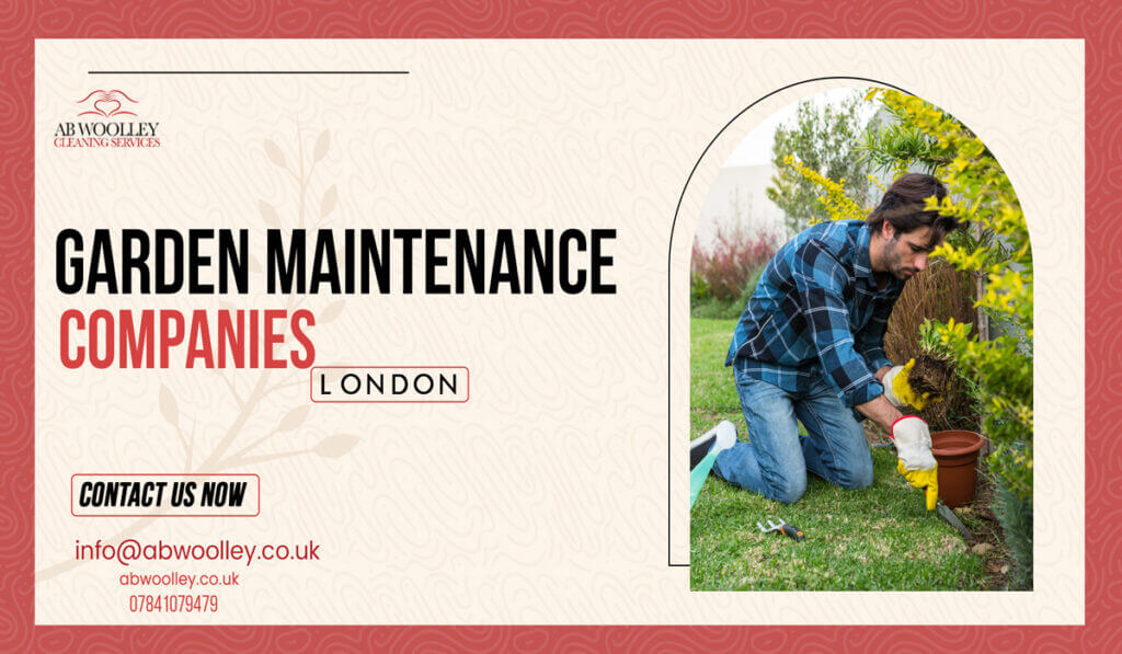 How Important Is Hiring a Garden Maintenance Companies London? Explain