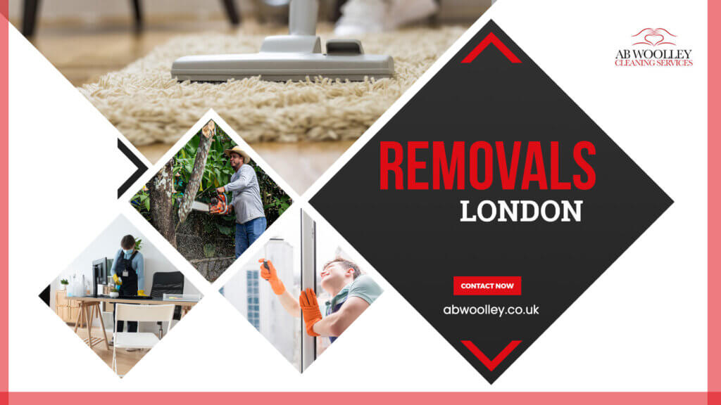 Professional Cleaning & Removals Services – An All-Inclusive Guide